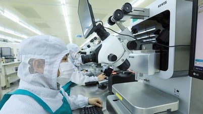 투자법의 병목 현상을 용감하게 줄이다