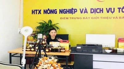 Phụ nữ Hòa Bình tích cực hưởng ứng phong trào "Bình dân học vụ số"