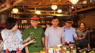 Đảm bảo các điều kiện phục vụ nhân dân và du khách về chiêm bái xá lợi Phật