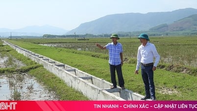 Agua de riego verano-otoño: Preocupación por el final del canal, alta presión