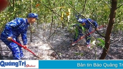 Своевременное тушение лесных пожаров в жаркую погоду