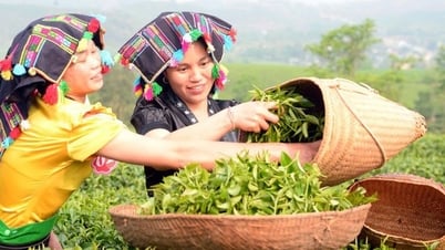 Thúc đẩy liên kết vùng, thu hẹp khoảng cách giữa các địa phương