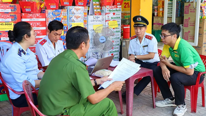 Kiện toàn Ban Chỉ đạo phòng, chống buôn lậu, gian lận và hàng giả TP Cần Thơ