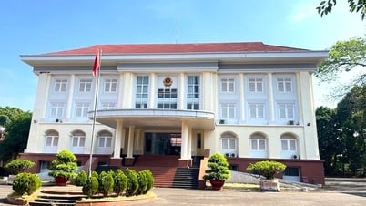 Công nhận kết quả trúng tuyển viên chức cho 61 giáo viên từng bị hủy tuyển dụng