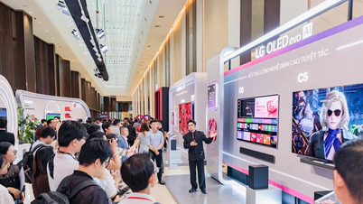 LG ra mắt thế hệ TV 2025 tích hợp AI thấu cảm