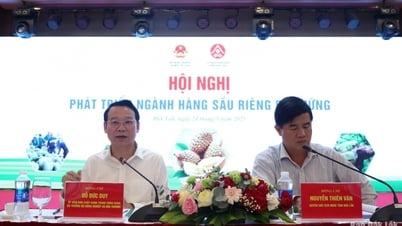Xây dựng chiến lược phát triển bền vững ngành hàng sầu riêng Việt Nam