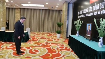 أصدقاء دوليون ينعون رحيل الرئيس السابق تران دوك لونغ