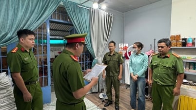Khởi tố vụ trốn thuế và buôn lậu trong kinh doanh thương mại điện tử