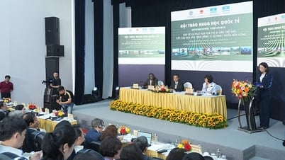 Đánh giá tổng quan công tác bảo tồn, phát huy giá trị di sản văn hóa và thiên nhiên thế giới tại Việt Nam