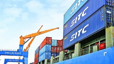 Se anuncian nuevos procedimientos administrativos en materia de importación y exportación