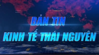 Báo Thái Nguyên ra mắt Bản tin Kinh tế