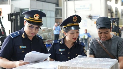 Proposal to "enable priority mode" for customs clearance of high-tech goods