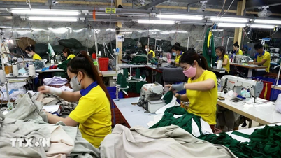 Doanh nghiệp Việt ứng phó tăng trưởng chậm của kinh tế thế giới