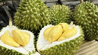 Kiểm soát tồn dư, bảo đảm an toàn thực phẩm cho sầu riêng xuất khẩu