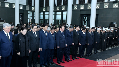 [Photo] Party and State leaders visit former President Tran Duc Luong