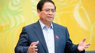 Cán bộ 'bật đèn xanh' cho doanh nghiệp buôn hàng giả, Thủ tướng chỉ đạo khẩn - Báo và Đài Phát thanh Truyền hình Lạng Sơn