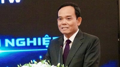 Sr. Tran Luu Quang: Es necesario recortar en un 50% los procedimientos para el modelo de vinculación del Estado, las escuelas y las empresas.
