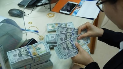 Tipo de cambio del dólar estadounidense hoy, 24/05/2025: Aumento en el mercado interno, descenso en el mercado mundial, mientras Trump genera una nueva controversia sobre el iPhone.