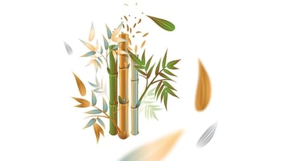 Традиционные культурные ценности Куангнама