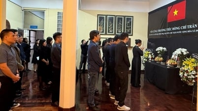พิธีรำลึกและเปิดสมุดไว้อาลัยอดีตประธานาธิบดี Tran Duc Luong ในโมซัมบิก