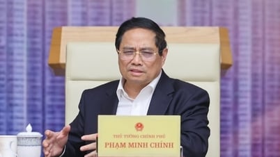 Nghiên cứu lập sàn giao dịch vàng