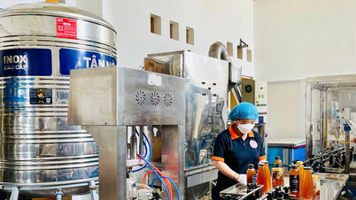 Nâng cao năng lực và hiệu quả hoạt động của hợp tác xã