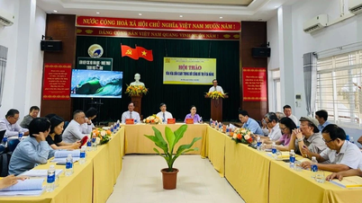 Thời cơ để phát triển các loại hình di sản văn hóa dân gian