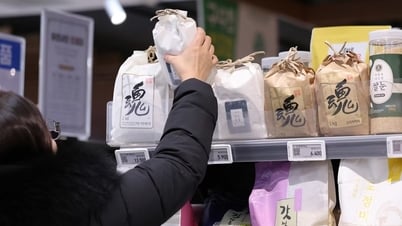 Südkorea steigert Reisexporte nach Japan angesichts der Reispreiskrise