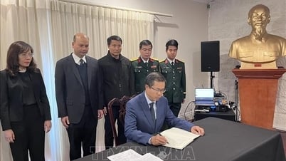 Die vietnamesische Botschaft in Australien legte ein Kondolenzbuch an und hielt einen Gedenkgottesdienst für den ehemaligen Präsidenten Tran Duc Luong ab.