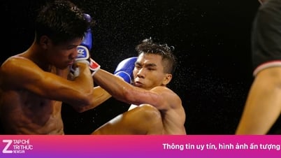 រីករាយនឹងភ្នែករបស់អ្នកនៅលើសង្វៀន Kickboxing 2025