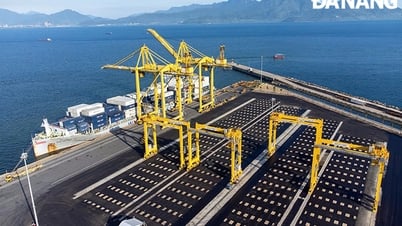 Phát huy vai trò trợ lực cho đầu tư phát triển thành phố