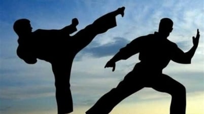 Revealed reason for not recognizing the results of Phu Yen Traditional Martial Arts Congress