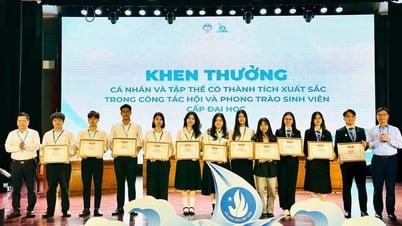 Comrade Nguyen Duc Nhan is President of the National Economics University Student Association.