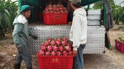 Bản tin thị trường ngày 24/5