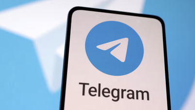 Télégramme : Notification reçue et en cours de traitement en provenance du Vietnam