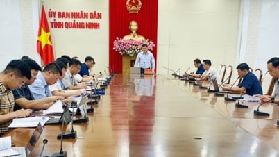 Provincial People's Committee listens to progress of licensing and allocation of marine areas for aquaculture
