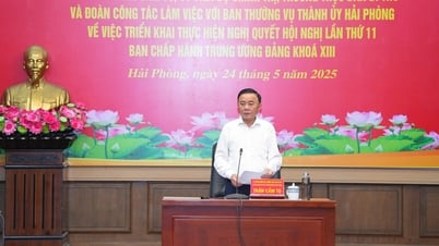 Hai Phong bekräftigt seine hohe politische Entschlossenheit und erstellt einen Personalplan für die Zeit nach der Fusion, der Prinzipien, Transparenz und Fairness gewährleistet.