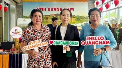 Quang Nam promotes trade and tourism in Laos