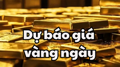 Tin tức, dự báo giá vàng ngày mai 25/5/2025 giá vàng trong nước dừng chân ở mức 121 triệu đồng/lượng, vàng thế giới đóng cửa