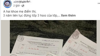 Причина, по которой учителя литературы надеются, что родители не будут хвастаться в интернете академическими достижениями своих детей