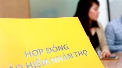 Страхование жизни устарело из-за неоднозначных советов