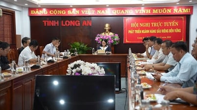 Phát triển bền vững ngành hàng sầu riêng: Từ tăng trưởng nóng đến chiến lược dài hạn