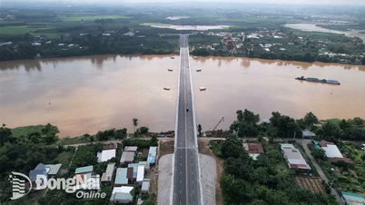 La province de Binh Duong propose au Premier ministre d'envisager d'être désigné comme organe directeur pour construire un pont reliant Dong Nai.