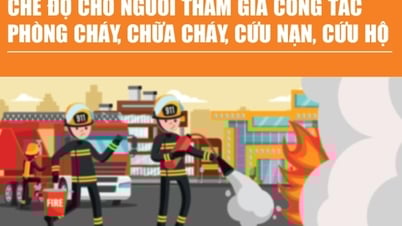 Infographics: Chế độ cho người tham gia công tác phòng cháy, chữa cháy, cứu nạn, cứu hộ