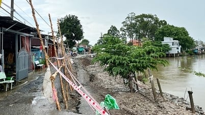 Liên tiếp xảy ra sạt lở bờ sông, kênh rạch trên địa bàn tỉnh An Giang