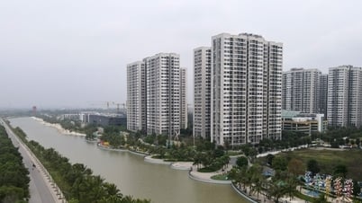 Tin tức đặc biệt trên báo in Hànộimới ngày 24-5-2025