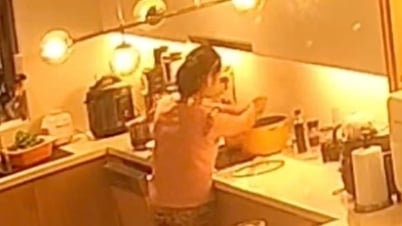 雑巾を洗っているメイドが家主にこっそりと水を飲ませていた事件から：