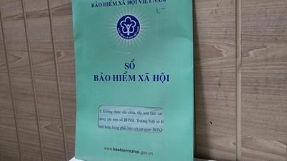 Cách xin cấp lại sổ Bảo hiểm Xã hội thông qua ứng dụng VssID