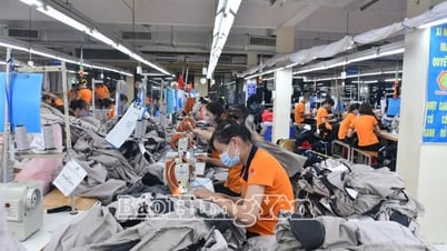Les entreprises Hung Yen s'efforcent de s'adapter aux conditions d'intégration économique internationale