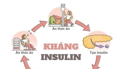 Kháng Insulin - gốc rễ của các bệnh lý mạn tính